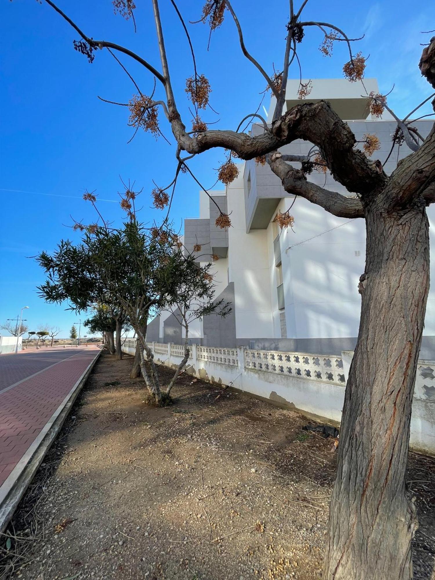 Apartament Alpen1 Residencial *